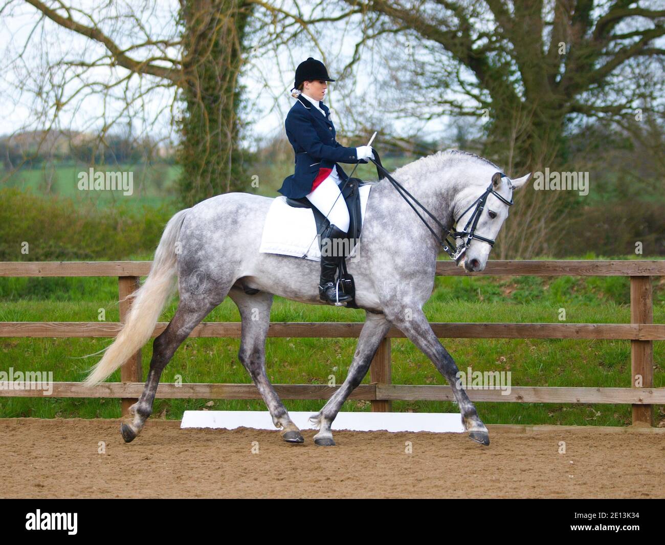 A horse and rider practise a dressage test before competition Stock ...
