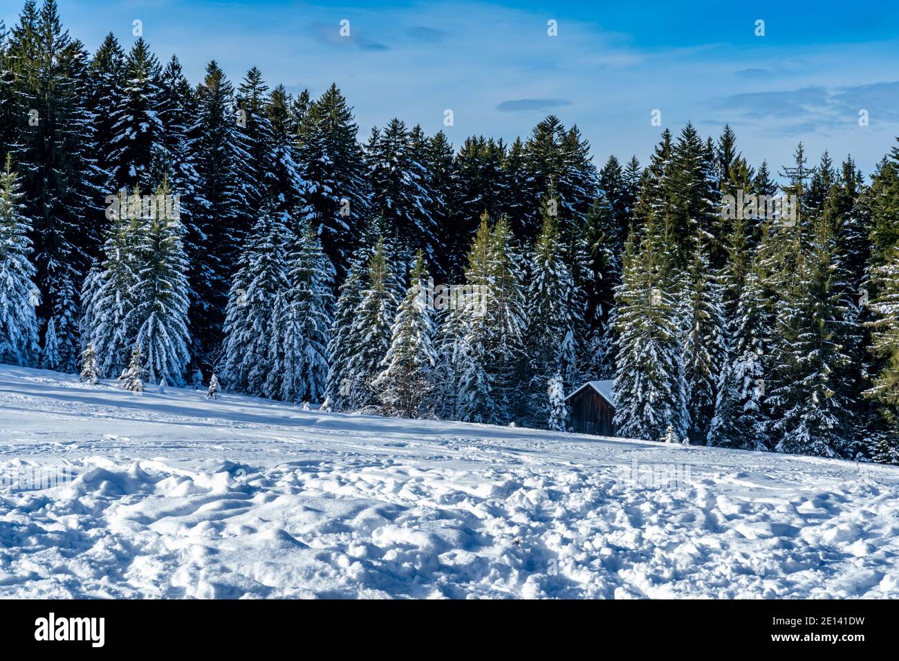 Frisch verschneite Landschaft mit Haus am Waldrand. snowy landscape with a holiday home at the edge of forest, a sunny day. winter wonderland Austria Stock Photo