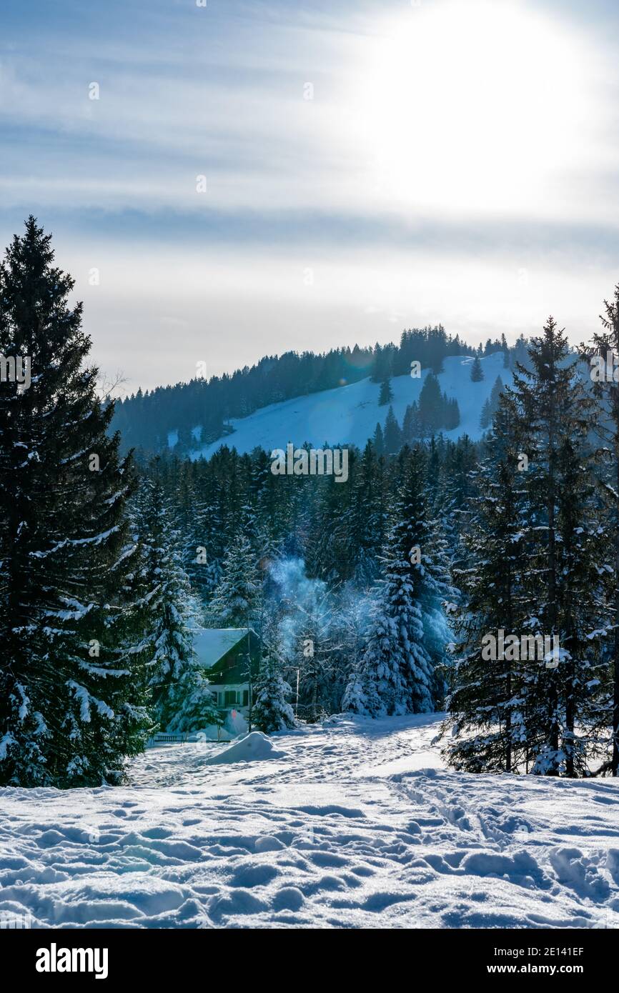 Frisch verschneite Landschaft mit Haus am Waldrand. snowy landscape with a holiday home at the edge of forest, a sunny day. winter wonderland Austria Stock Photo
