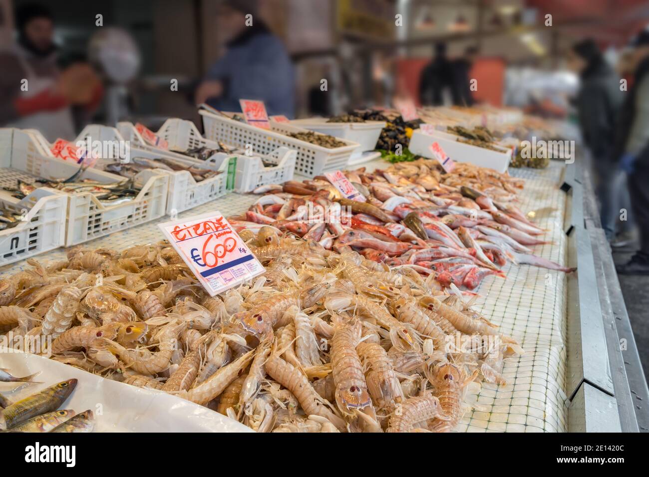 Fresh seafood, shellfish and fish in Ortigia Market, Syracuse, Sicily Stock Photo