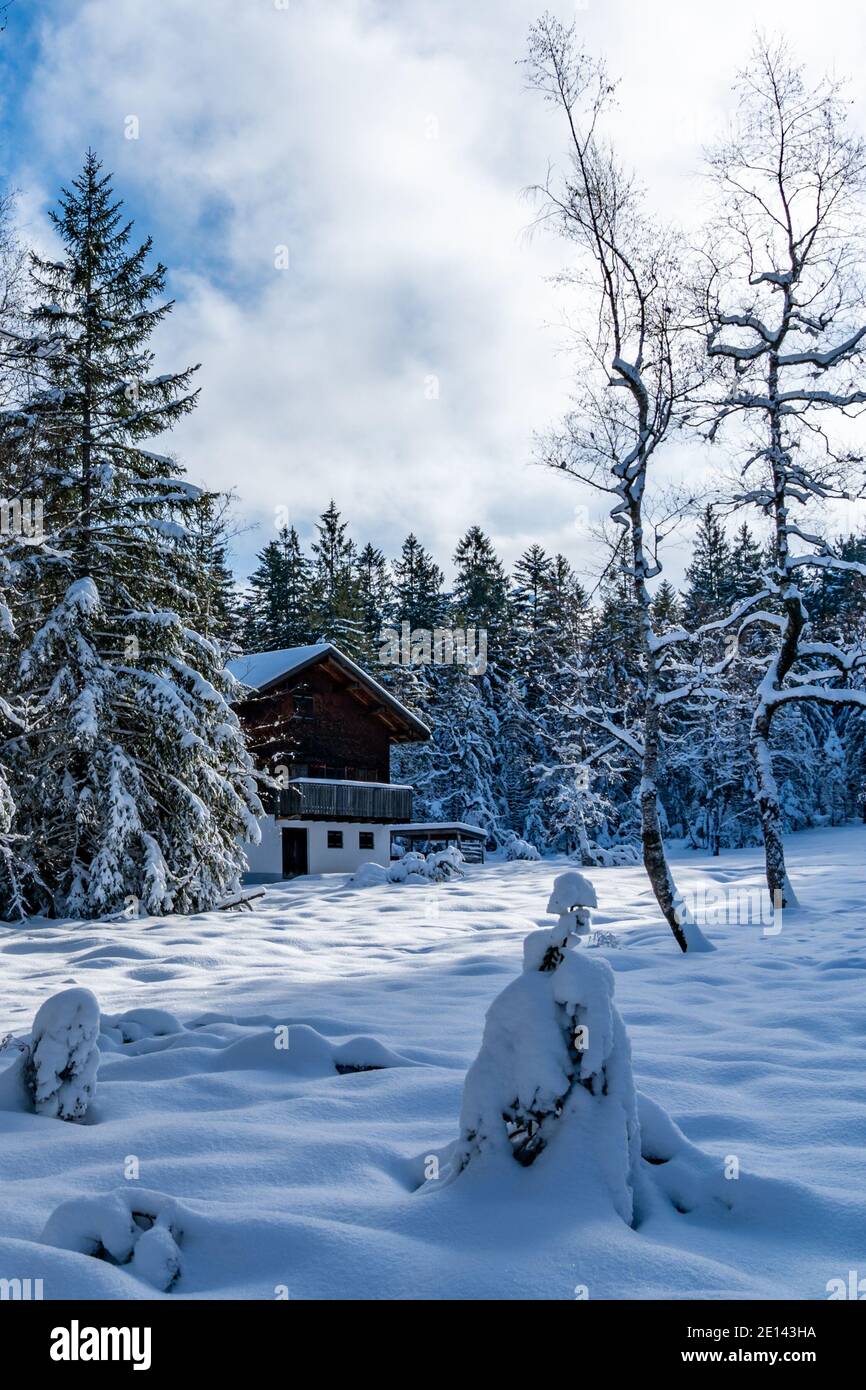 Frisch verschneite Landschaft mit Haus am Waldrand. snowy landscape with a holiday home at the edge of forest, a sunny day. winter wonderland Austria Stock Photo