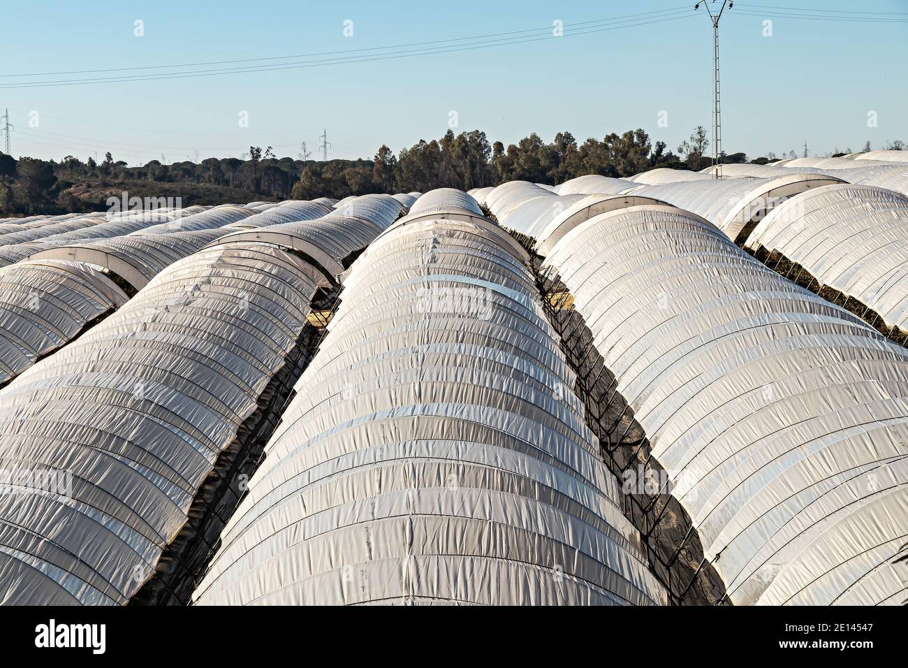 Intensive cultivation field with plastic-covered crops. Full of greenhouses cultivation Stock Photo