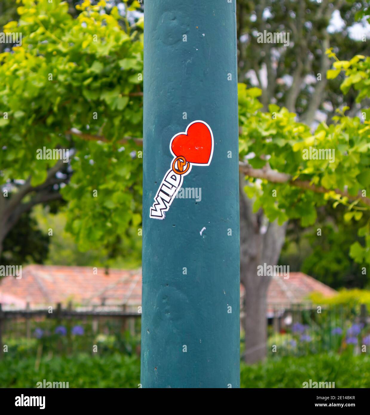 Gardens-  Cape Town, South Africa - 23/11/2020 Green pole with funky red 'Wild at Heart' sticker on it. Greenery in background. Stock Photo