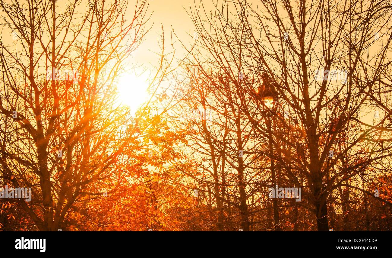 Paris park pray hi-res stock photography and images - Alamy