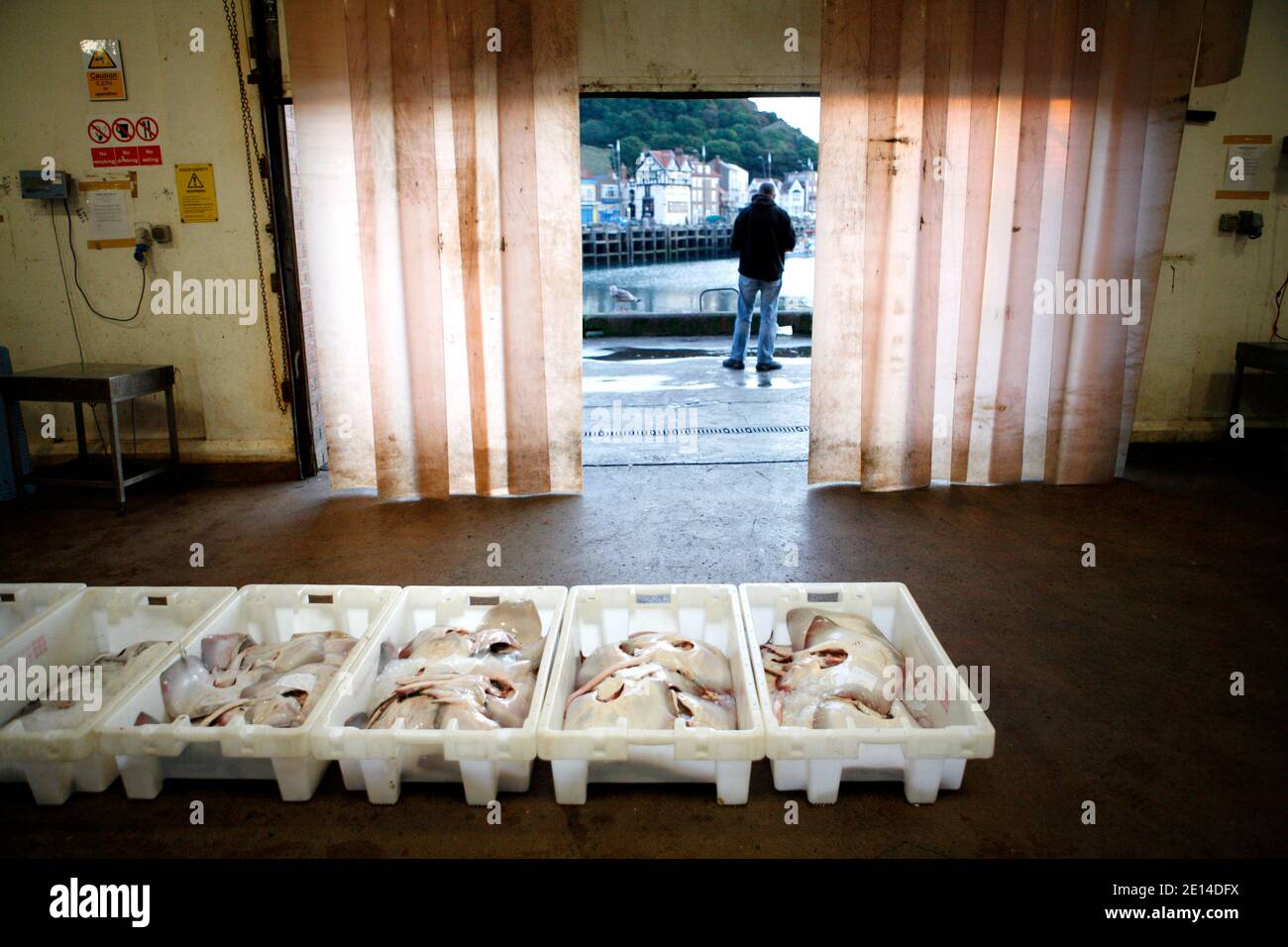 Scarborough Fish Market, North Yorkshire Stock Photo Alamy