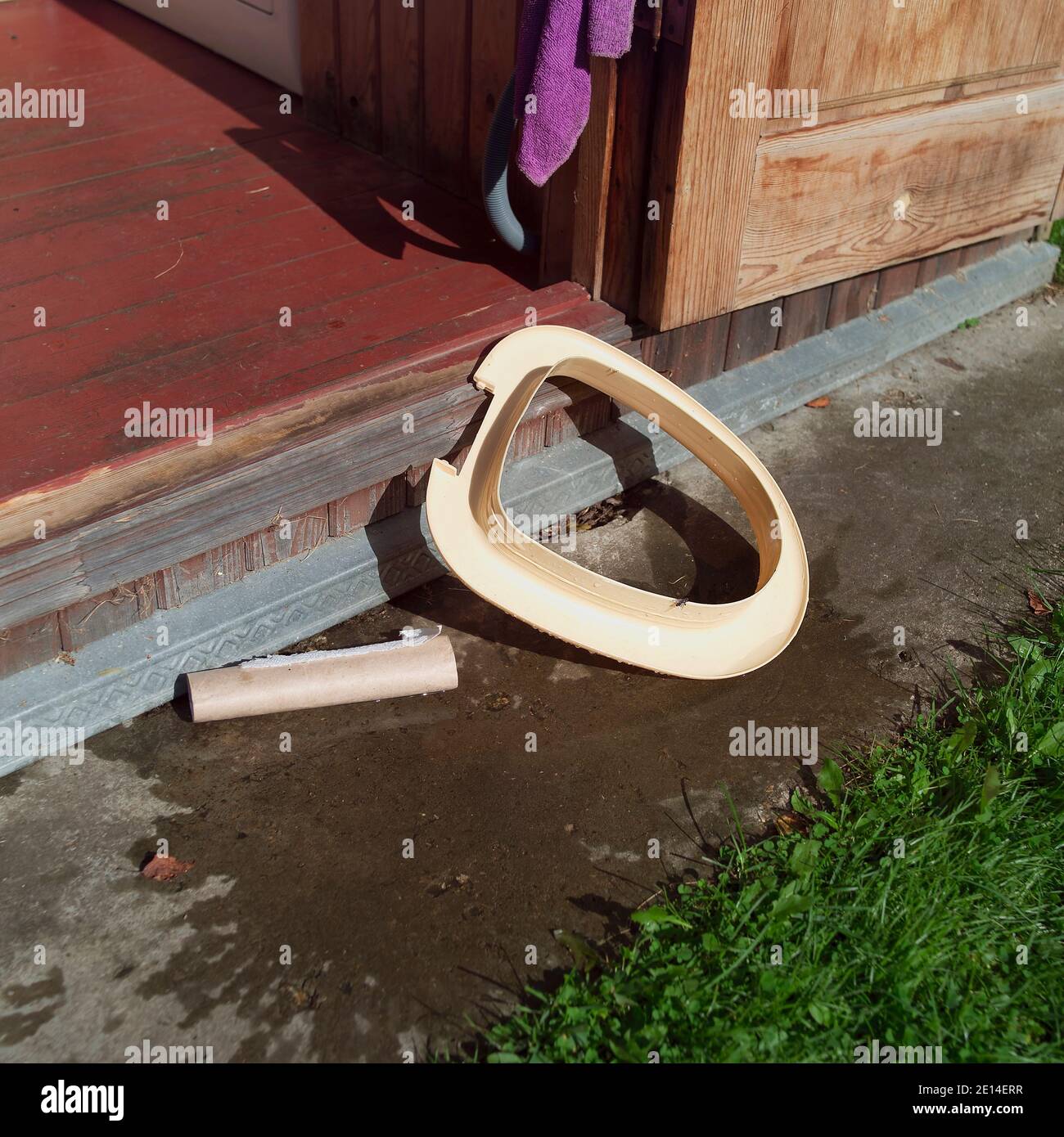 Abandoned plastic toilet seat outside wooden outhouse, summertime shot