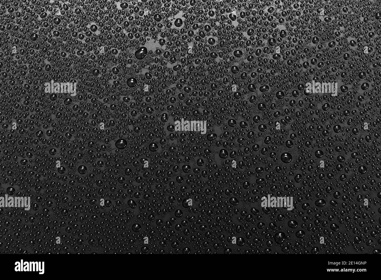 Water droplets on black hires stock photography and images Alamy