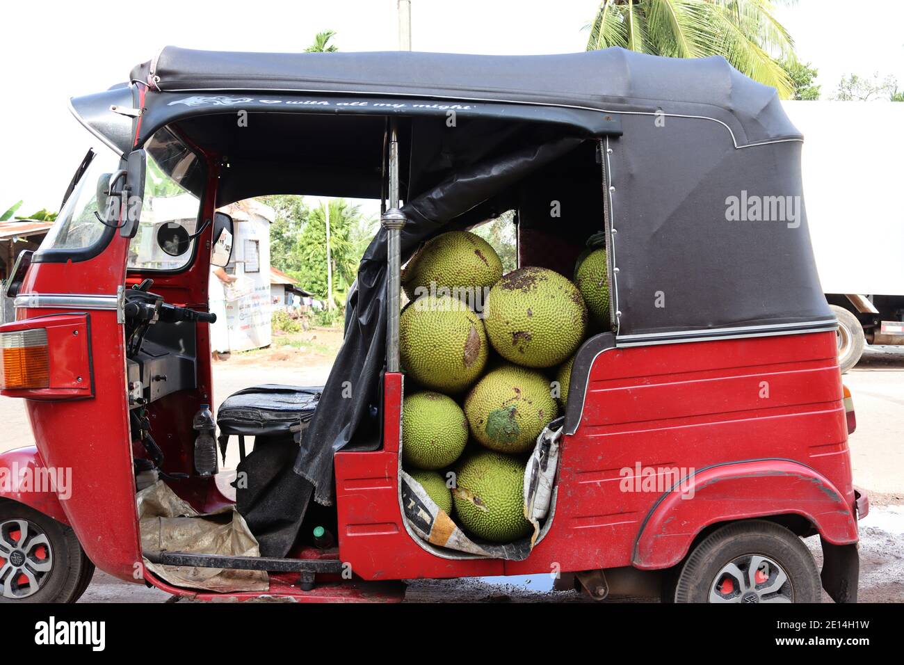 Delivering jack fruits to the market. Popular Jack fruit is strong food and we can use it as a main food for our life because it is similar to rice. Stock Photo