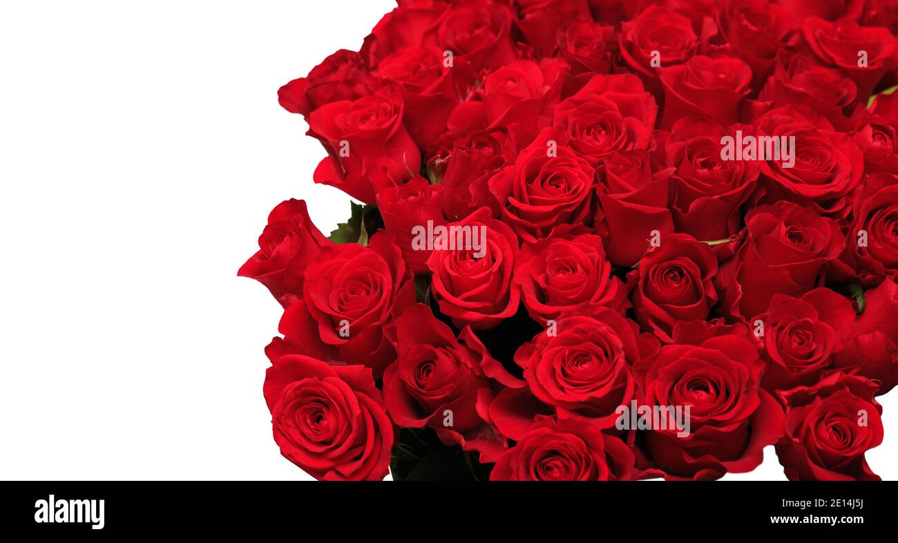 Large bouquet of red roses isolated on white background Stock Photo - Alamy