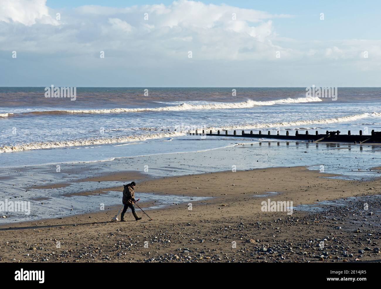 Man with metal detector on the beach at Hornsea, East Yorkshire, England UK Stock Photo Alamy
