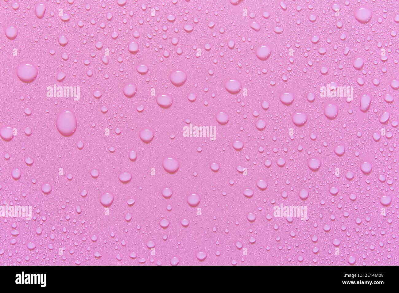 Water droplets on a pink background. For as a background drop on the ...