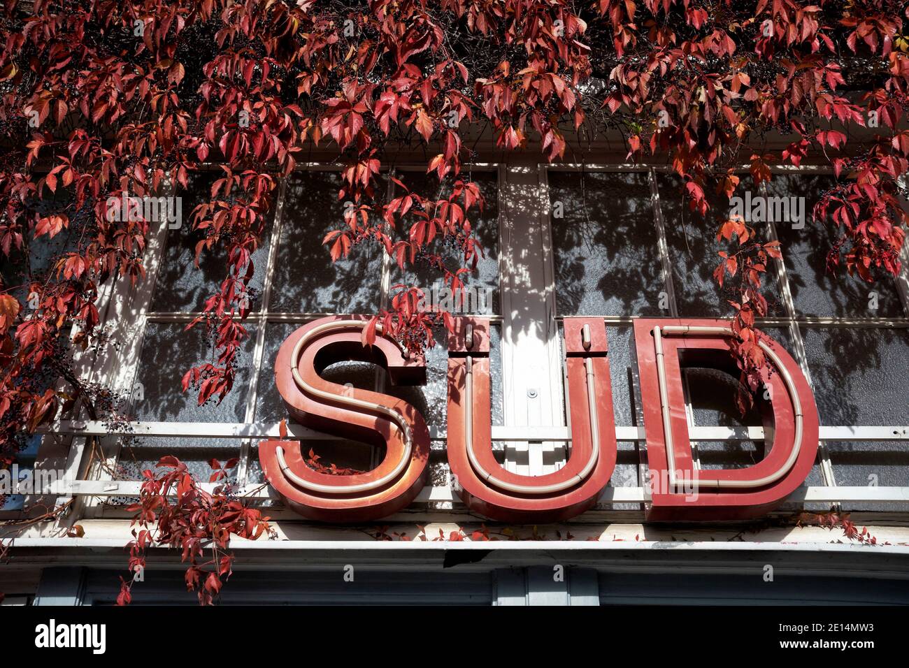 Ein von Weinlaub umwachsener Schriftzug der das Wort 'Süd' zeigt vor einer Glasscheibe mit Lichtreflexen Stock Photo