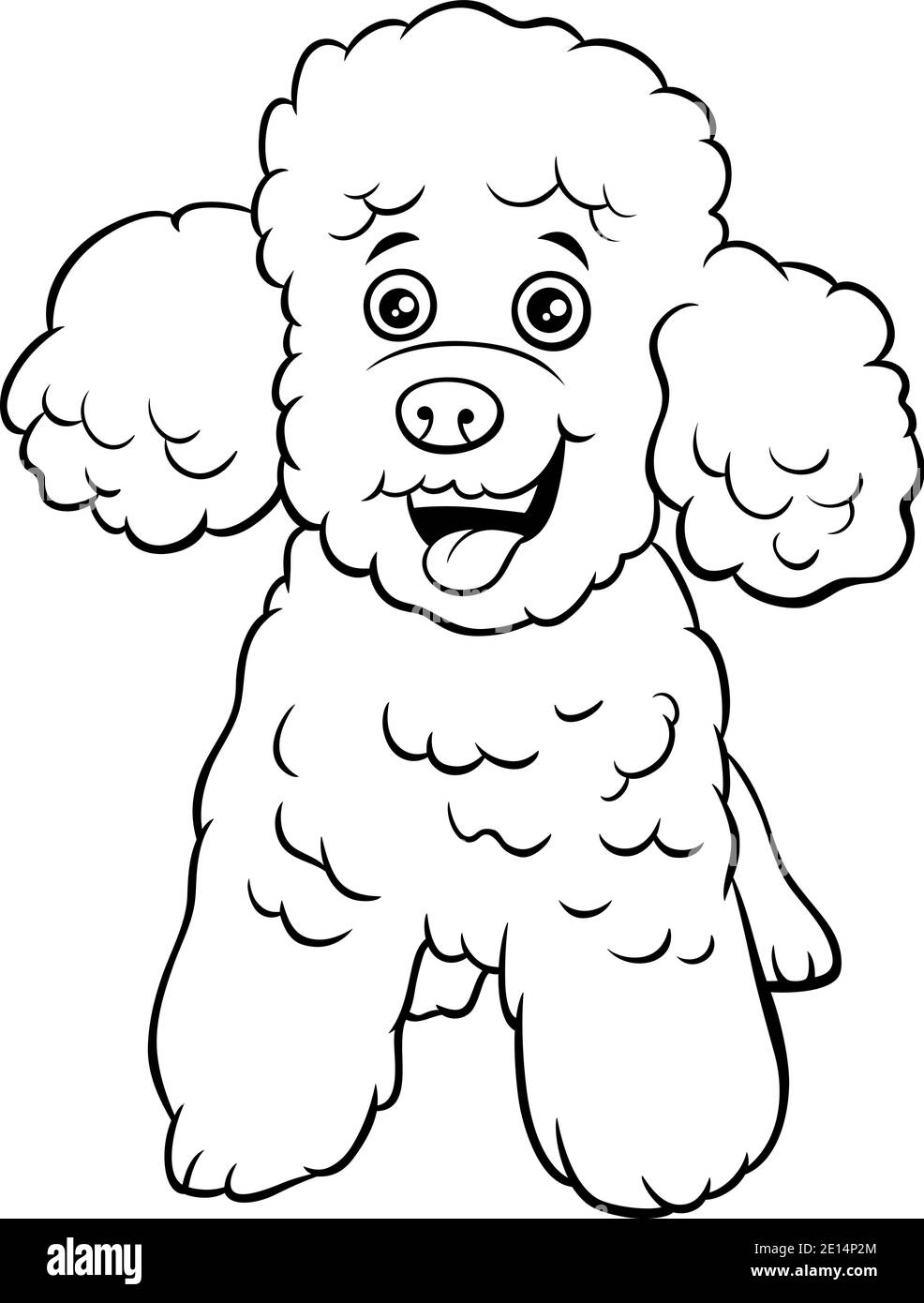 Black and white cartoon illustration of toy poodle purebred dog animal character coloring book page Stock Vector