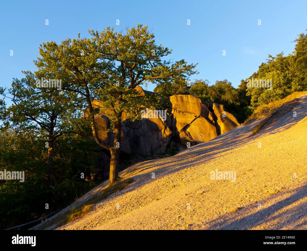 Evening sunlight on Black Rocks a small outcrop of natural gritstone, between Cromford and Wirksworth in the Derbyshire Peak District, England UK Stock Photo