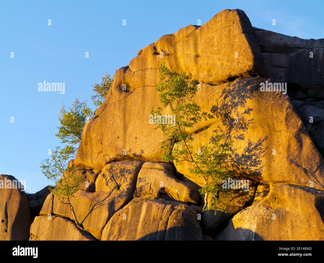 Evening sunlight on Black Rocks a small outcrop of natural gritstone, between Cromford and Wirksworth in the Derbyshire Peak District, England UK Stock Photo