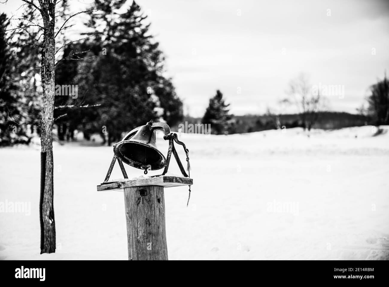 Parc Omega, Canada, January 2 2021 -  A bell standing in snow in Omega Park Stock Photo