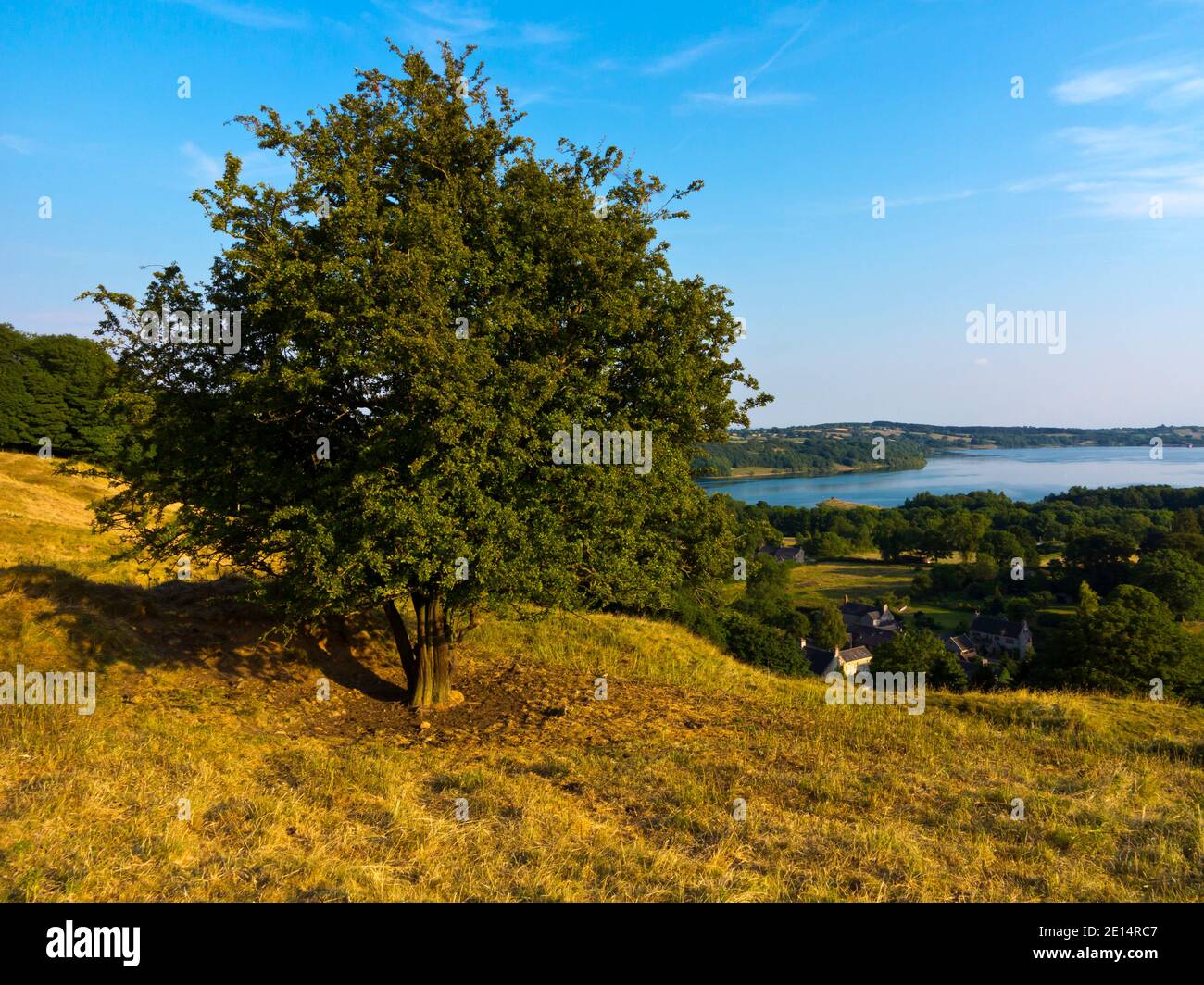 Summer landscape with trees and Carsington Water beyond at Carsington Pastures in the Derbyshire Dales area of the Peak District England UK Stock Photo