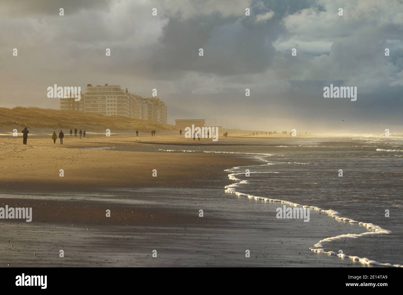 Golden sunllight shines through the brooding dark clouds, as people take a walk on a wintery Belgian Coast. The appartment blocks of Wenduine in West Stock Photo