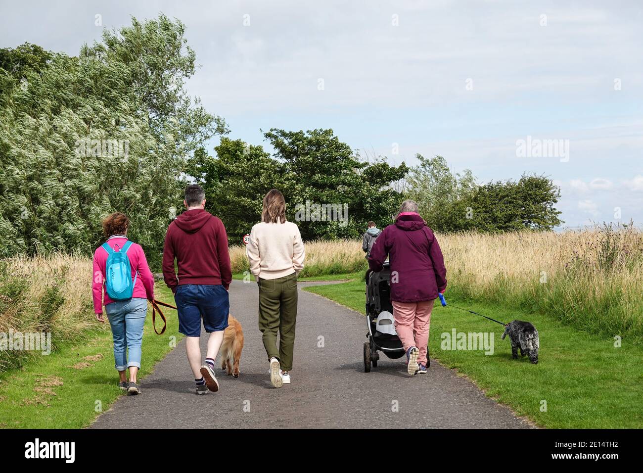 Family group with dogs and child push chair Stock Photo