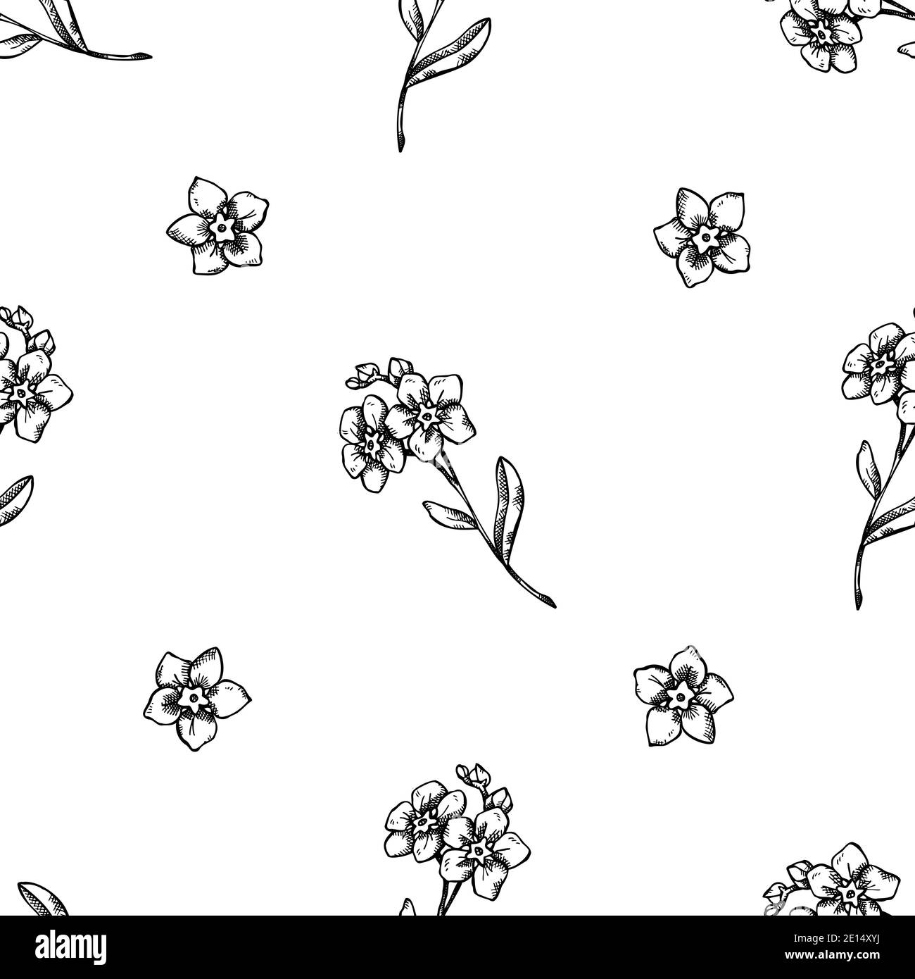 Seamless pattern with black and white me not flower Stock Vector