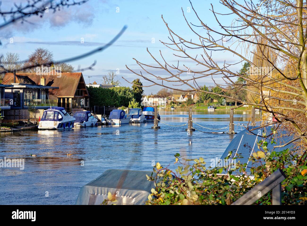 The River Thames at Laleham, near Staines on a bright sunny winters day