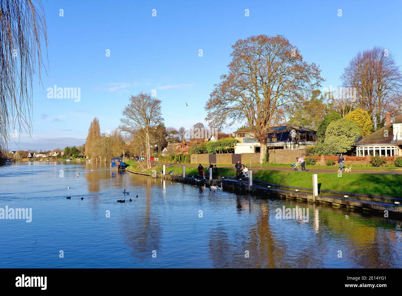The River Thames at Laleham, near Staines on a bright sunny winters day