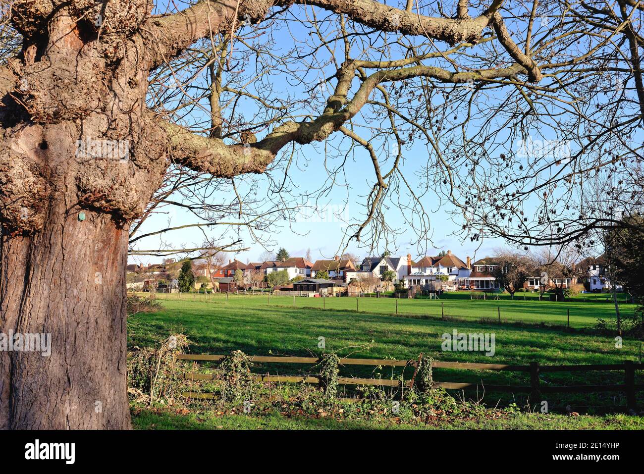 Detached houses located on 'The Ryde' backing onto Sweep's Ditch