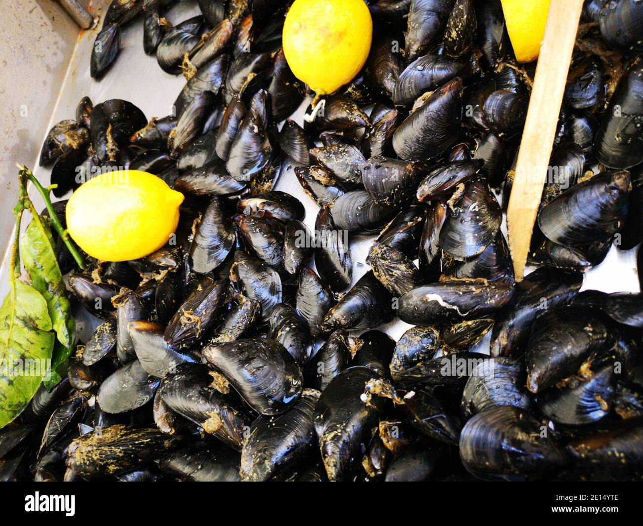 Mussels with lemon in open seamarket, Napoli Stock Photo