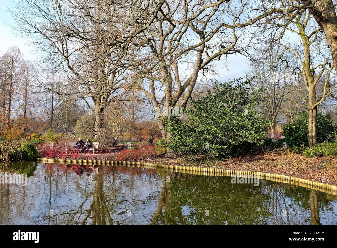 Two people sitting on a bench by the lake  in winter landscape at Wisley RHS gardens Surrey England UK Stock Photo