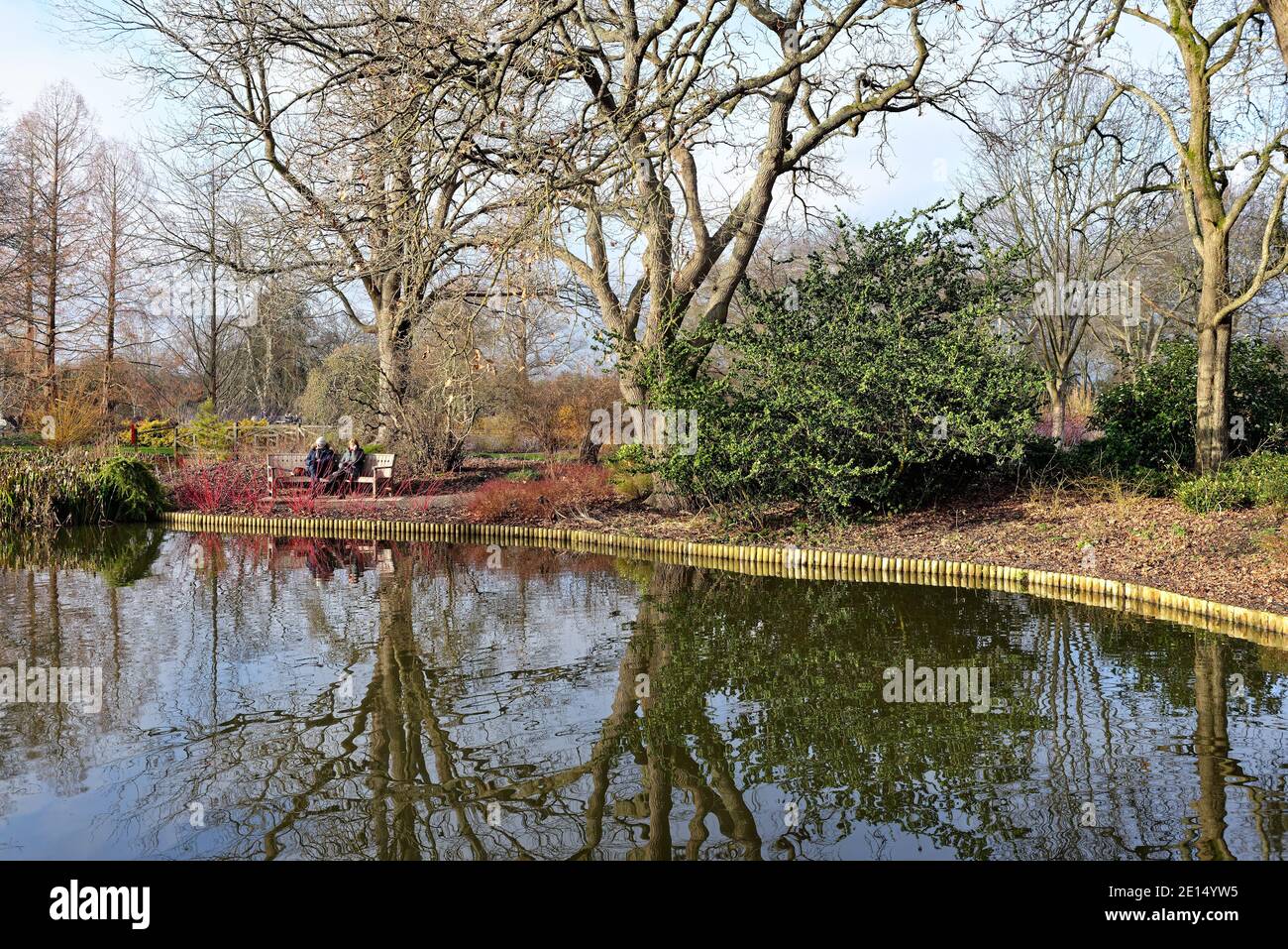 Two people sitting on a bench by the lake  in winter landscape at Wisley RHS gardens Surrey England UK Stock Photo