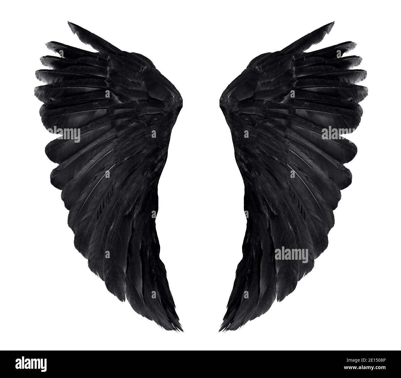 Angel Wings Black Background