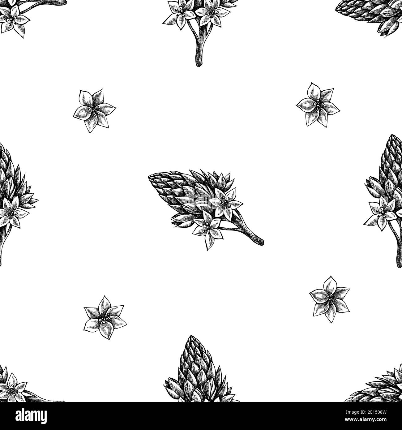 Seamless pattern with black and white ornithogalum Stock Vector