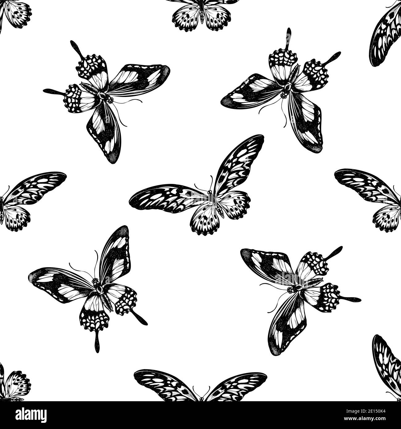 Seamless pattern with black and white african giant swallowtail, papilio torquatus Stock Vector