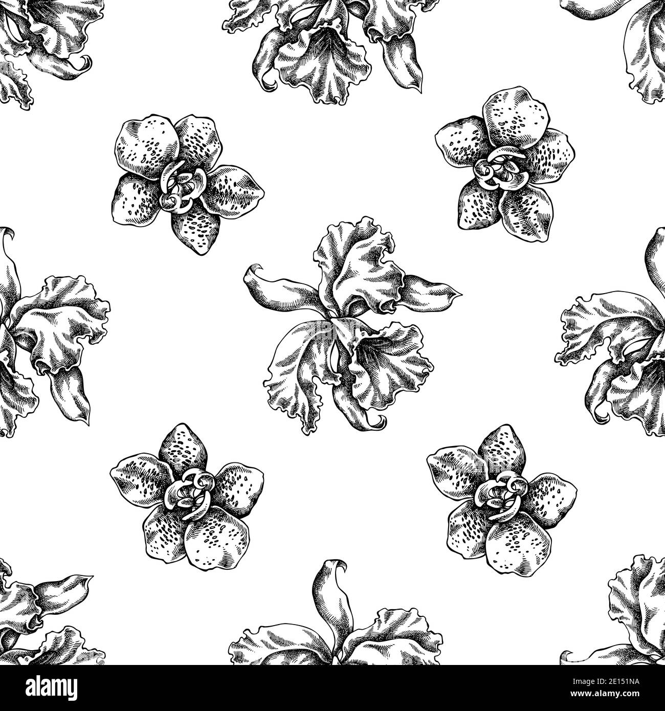 Seamless pattern with black and white orchid Stock Vector Image & Art ...