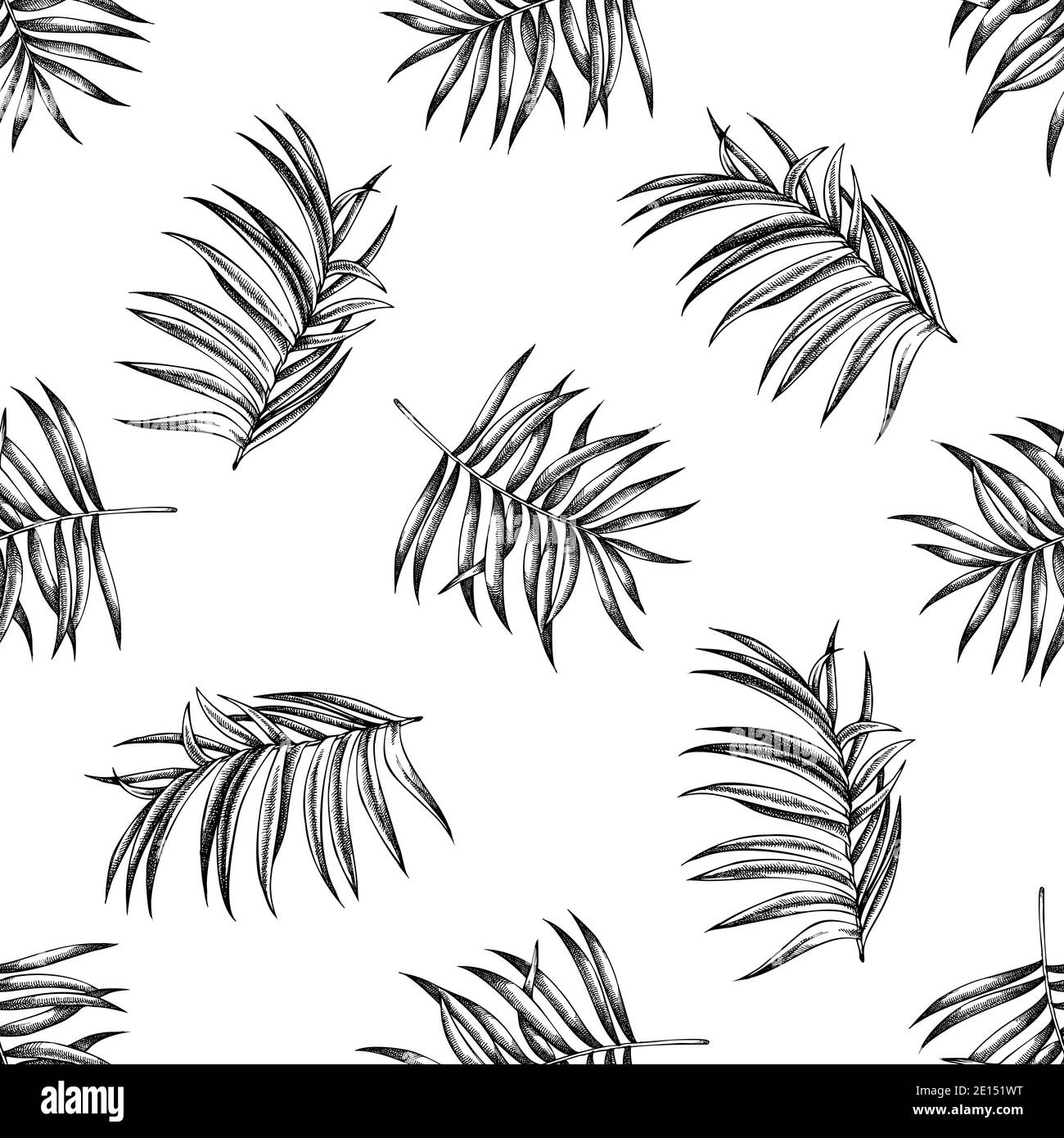 Seamless pattern with black and white tropical palm leaves Stock Vector ...