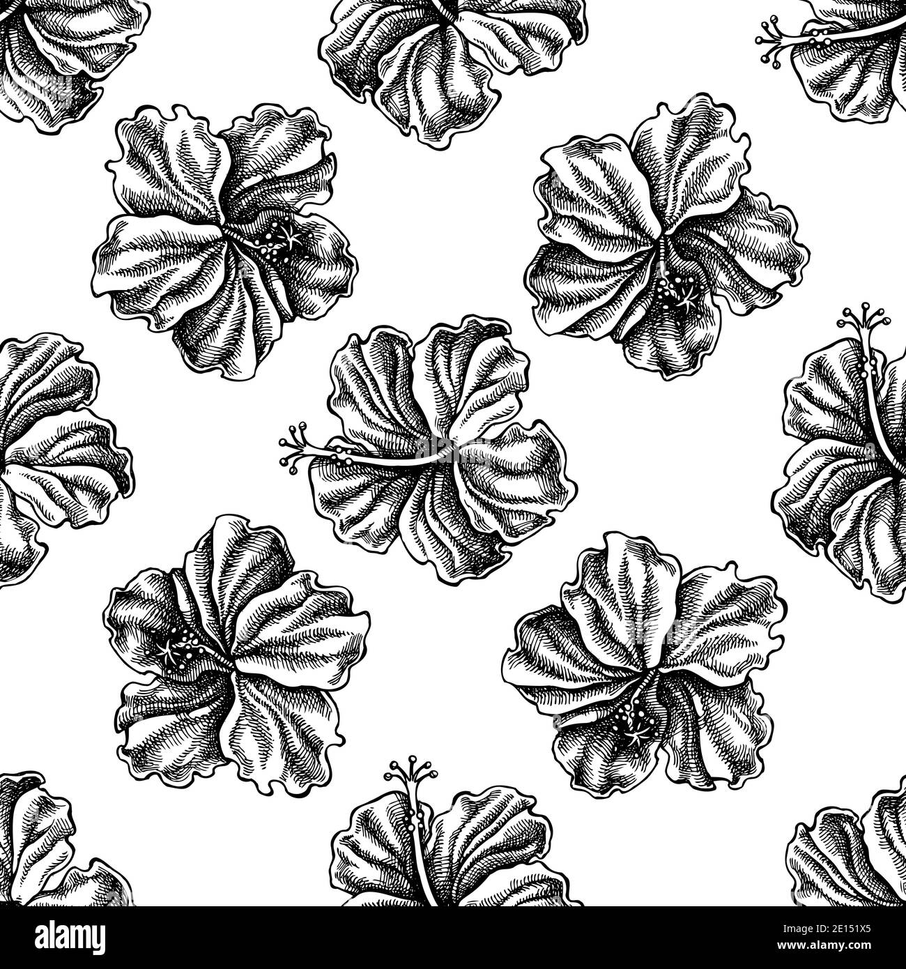 Seamless pattern with black and white hibiscus Stock Vector Image & Art ...