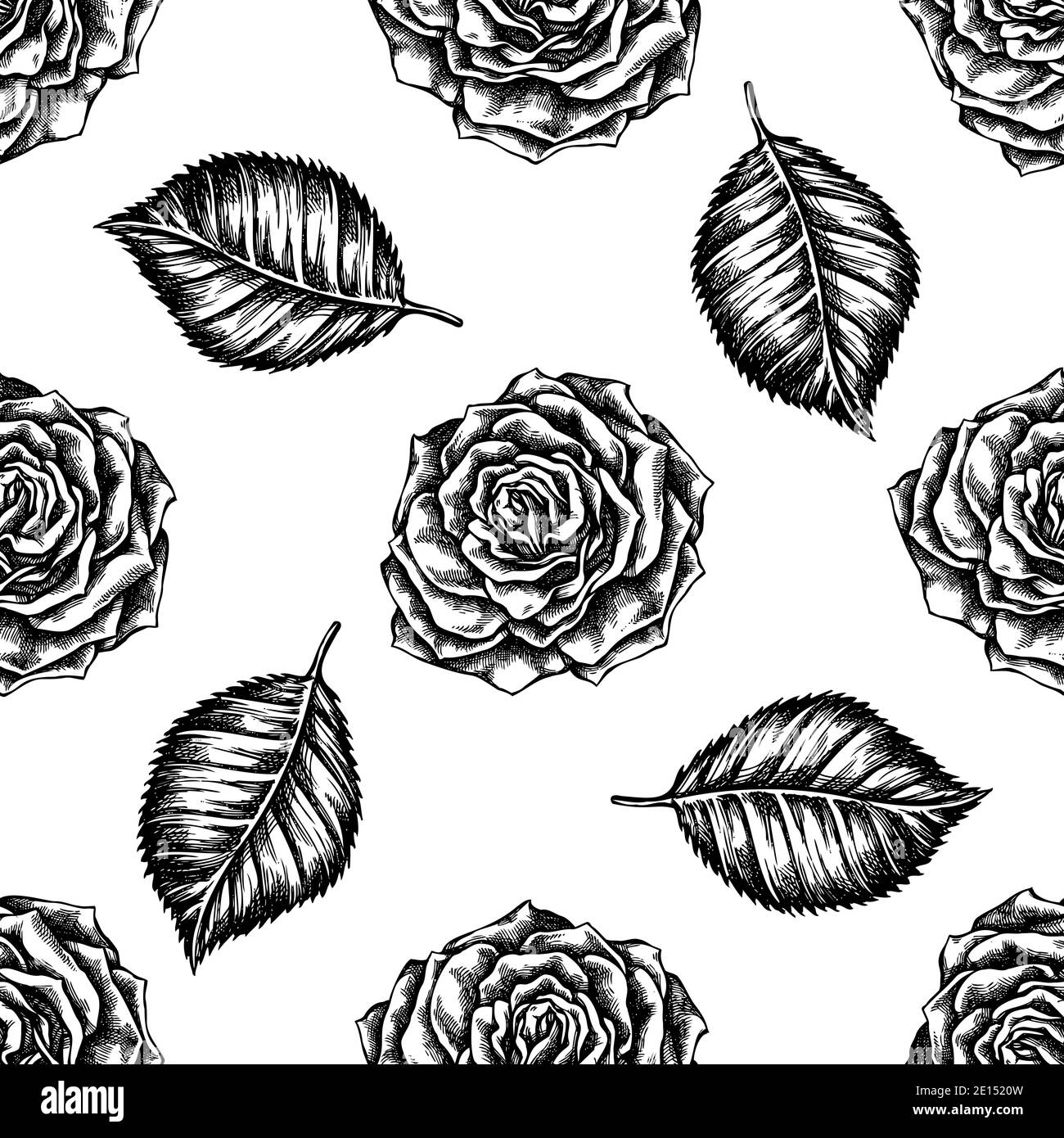 Vintage chic background roses Black and White Stock Photos & Images - Alamy