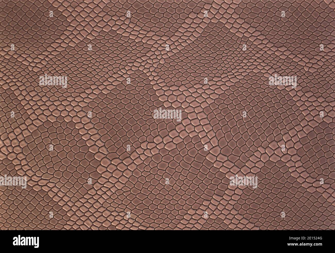 Light brown leather texture background with pattern, closeup. Reptile skin. Beige skin of a crocodile or a snake with vignette. Leatherette. Stock Photo