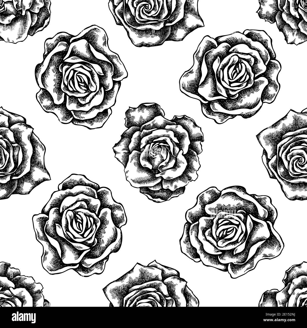Seamless wallpaper pink roses Black and White Stock Photos & Images - Alamy