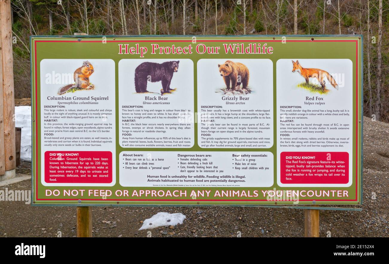 Canada, British Columbia, Barkerville Historic Town & Park,  wild animal information sign Stock Photo