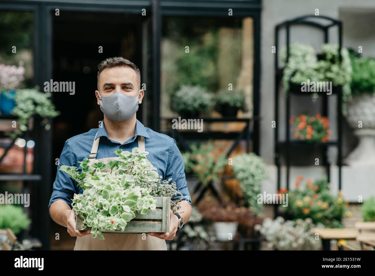 Decorative plants, growing, lifestyle and design during lockdown Stock