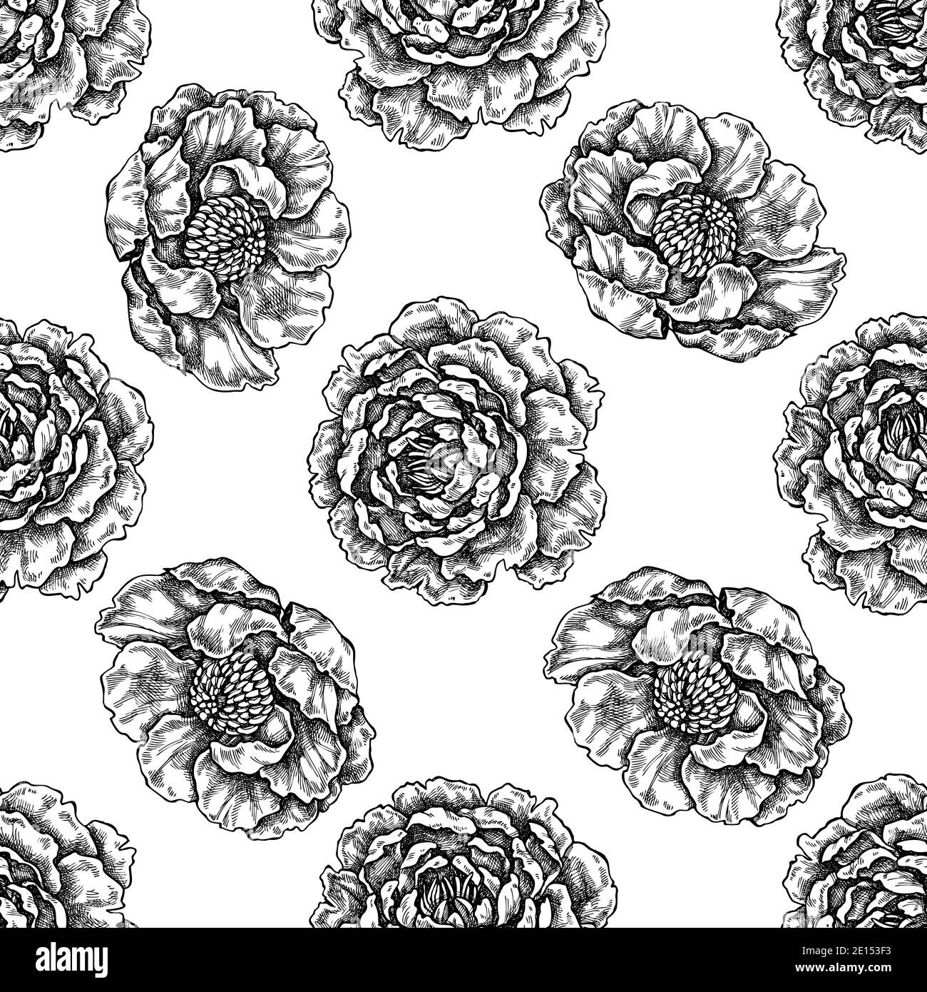 Seamless pattern with black and white peony Stock Vector Image & Art ...