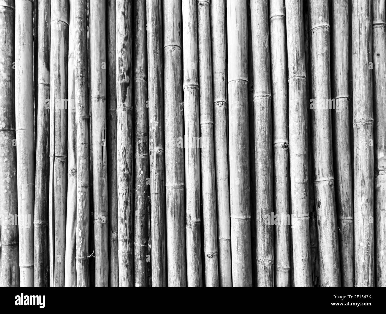 Bamboo timber Black and White Stock Photos & Images - Alamy