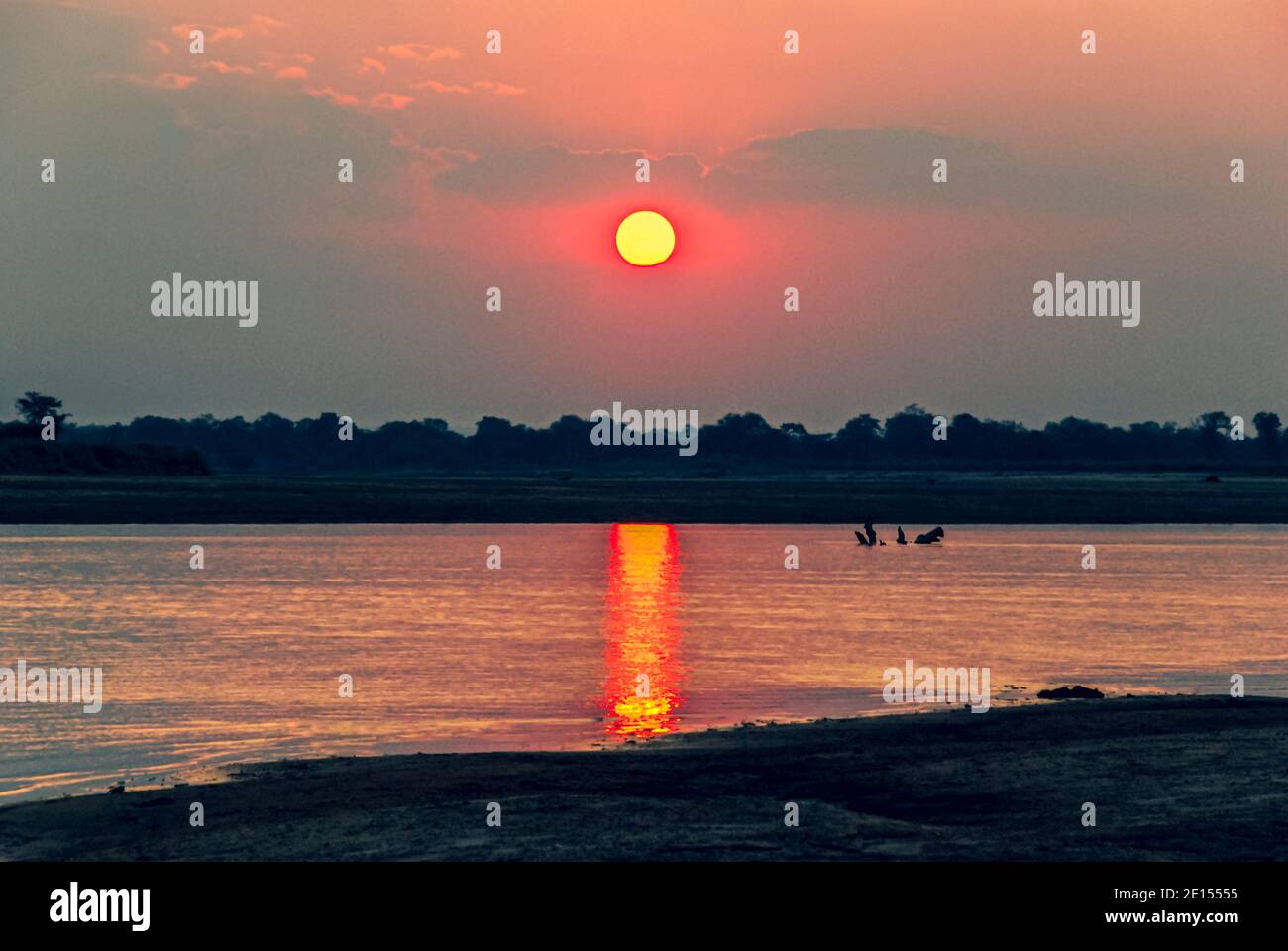 Sunsetting by river in South Luangwa National Park, Zambia, Africa Stock Photo