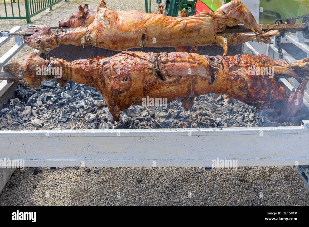 Roasting Lambs and Pig Over Charcoal at Rotisserie Spit Stock Photo Alamy