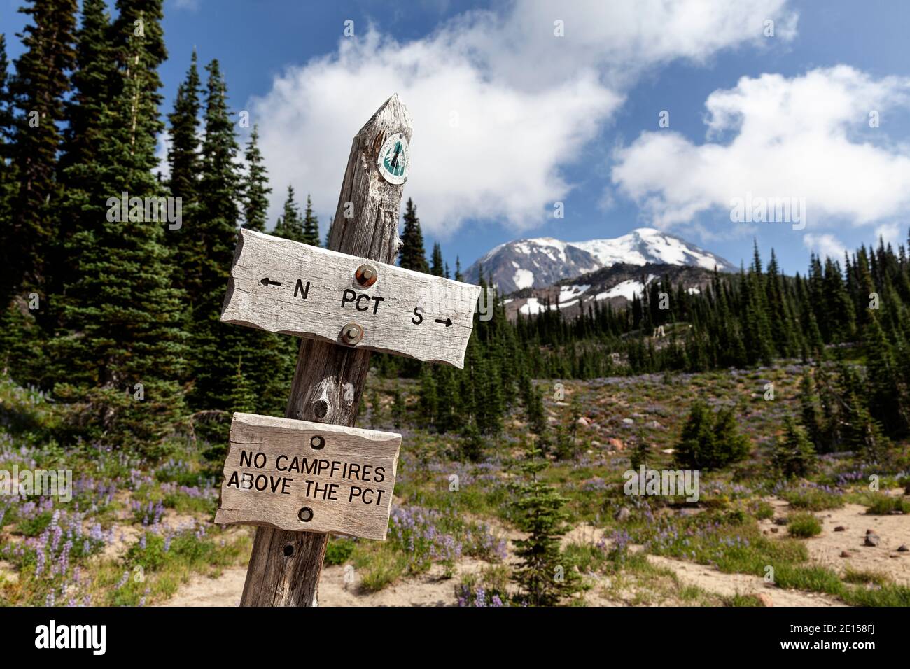 WA1720-00.....WASHINGTON - The Pacific Crest Trail (PCT) intersects with Trail 10 (High Camp Trail) and Trail 113 (Killen Creek Trail) in the Mount Ad Stock Photo