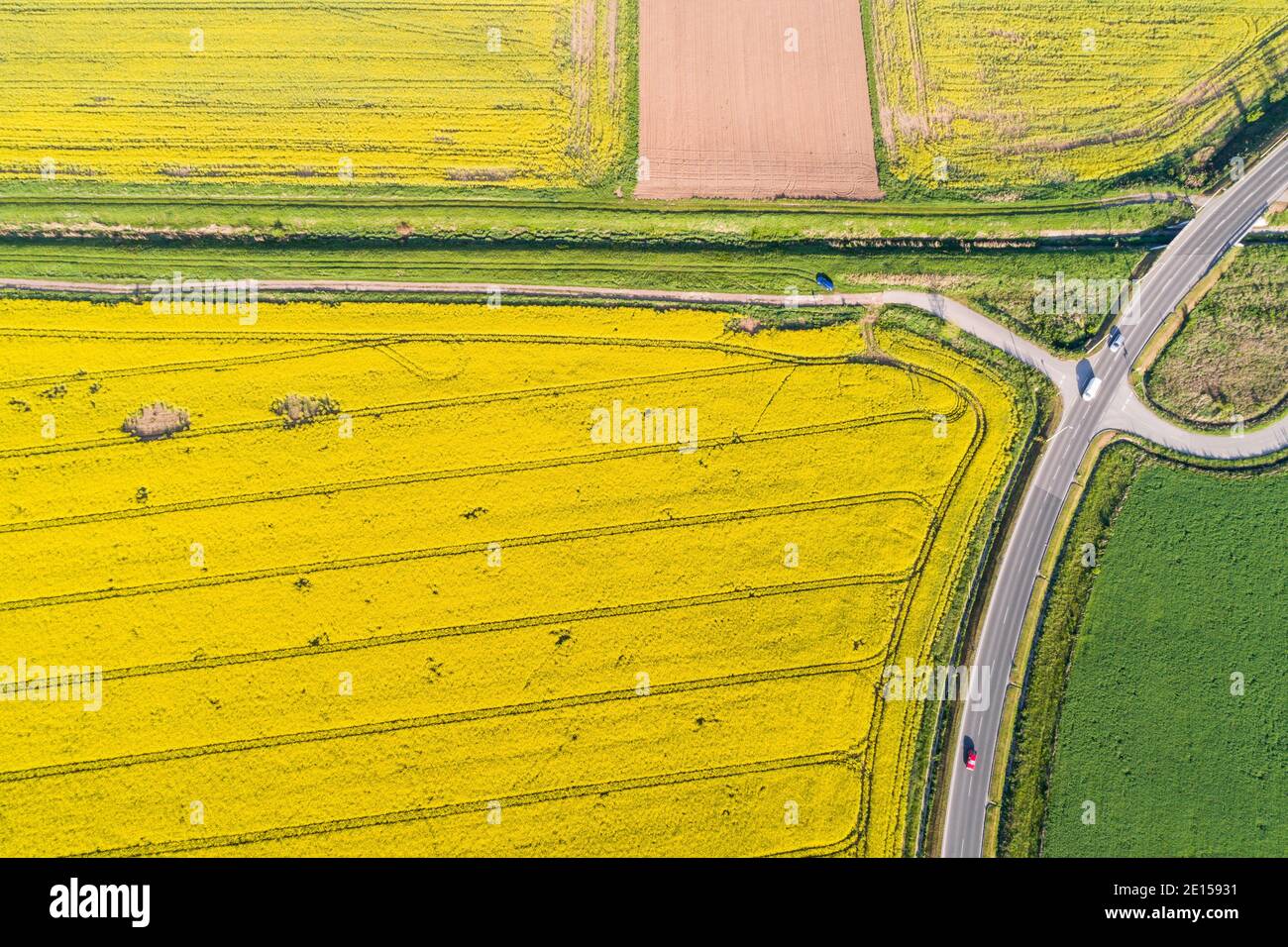 Aerial view of rape field Stock Photo - Alamy