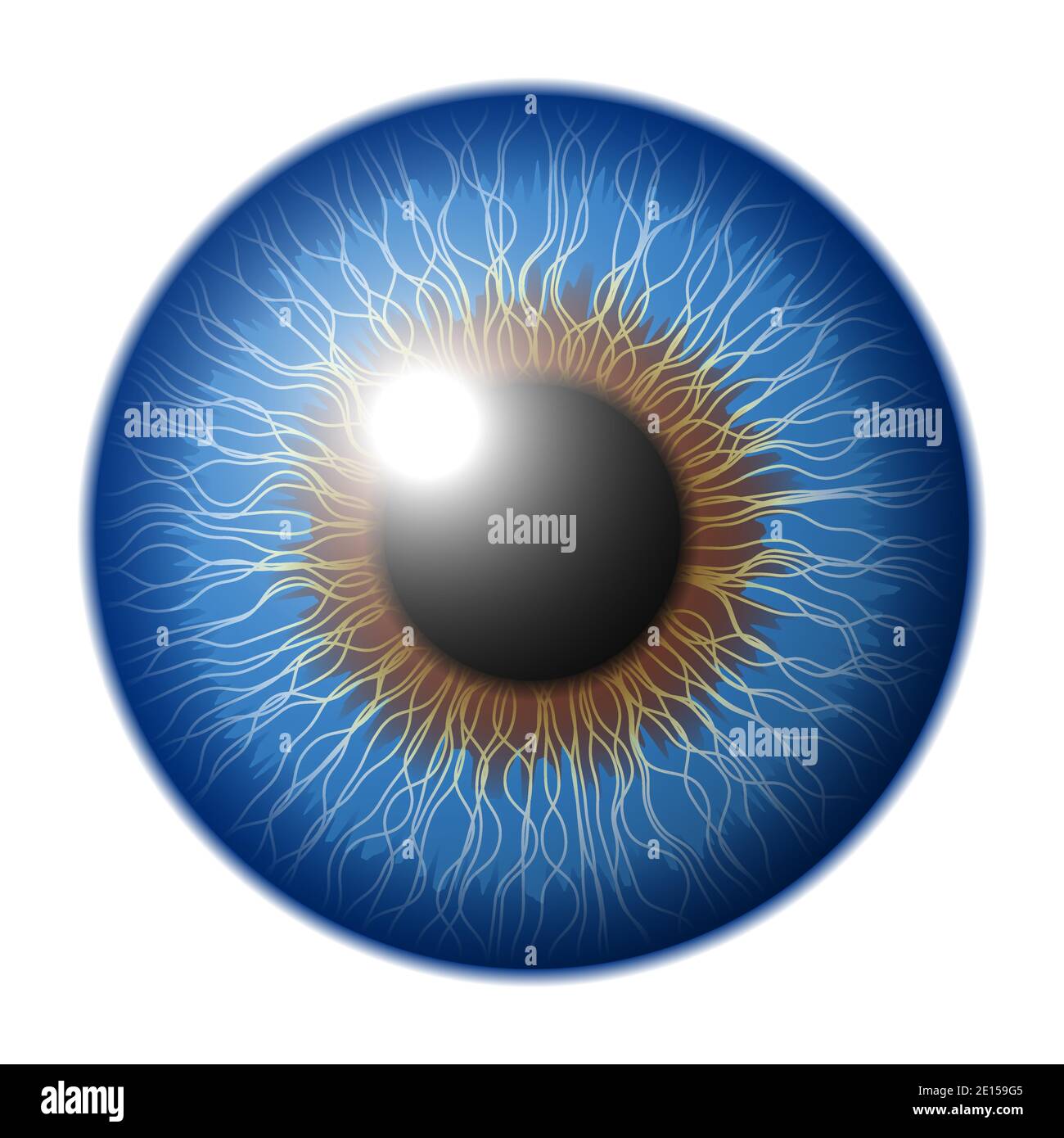 Vector eye in graphic style Stock Vector Image & Art Alamy