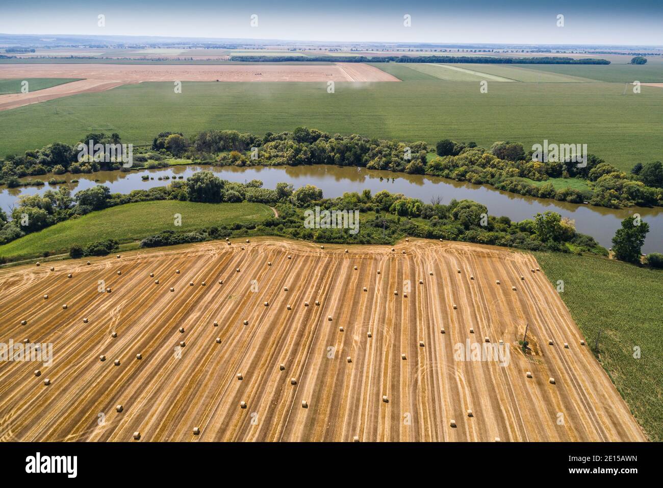 Golden hay bales in a large open field during harvest season Stock ...