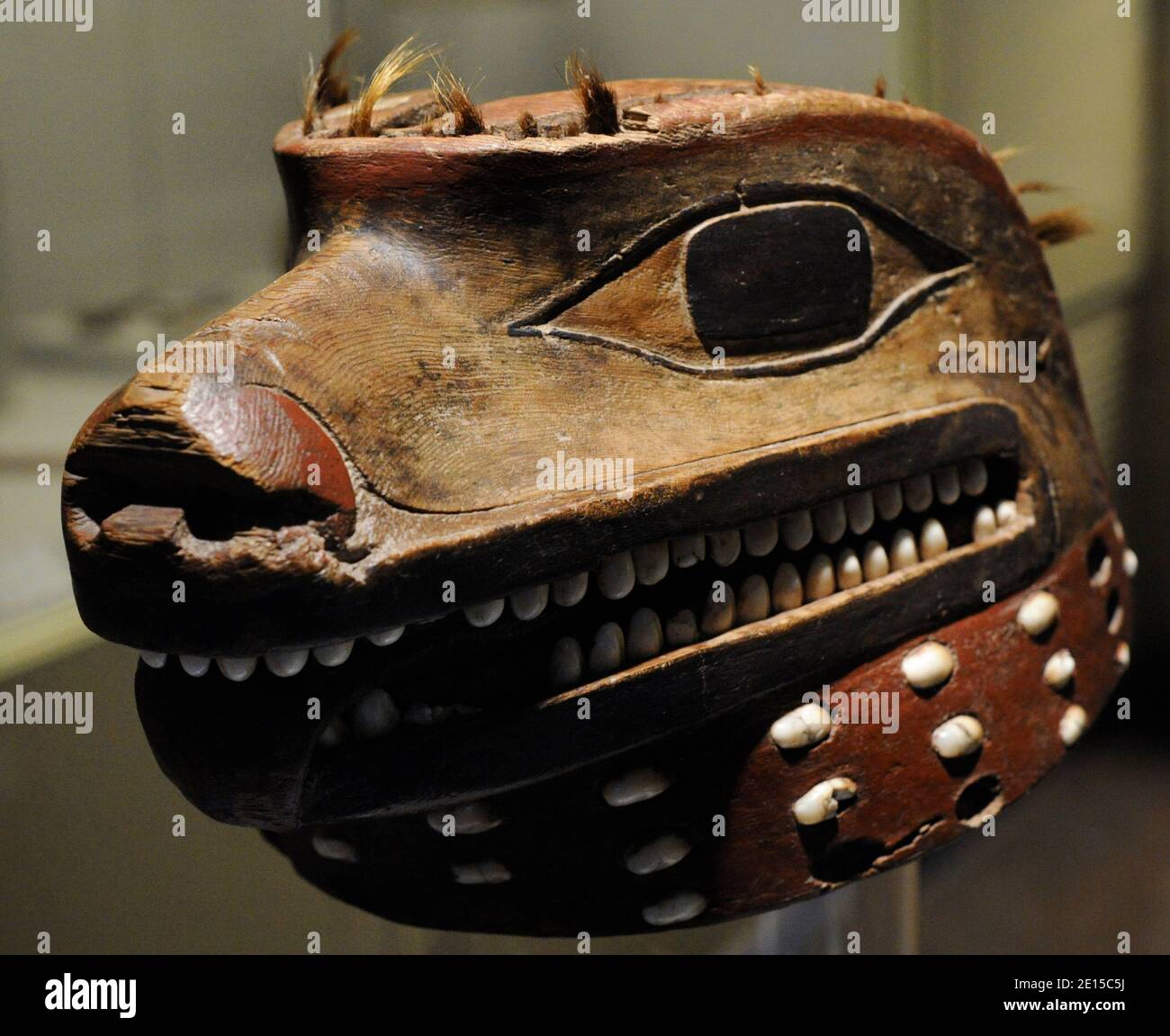 Helmet representing a wolf's head. Animal admired and feared for its strength and violence. Wood, shell and horsehair. Made by Tlingit indigenous people, from the North American Pacific Northwest Coast. 18th century. Museum of the Americas. Madrid, Spain. Stock Photo